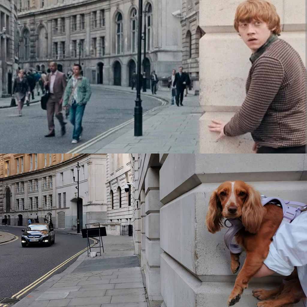 HP Tour Privado sitios de filmación recreación escena Scotland Yard perro